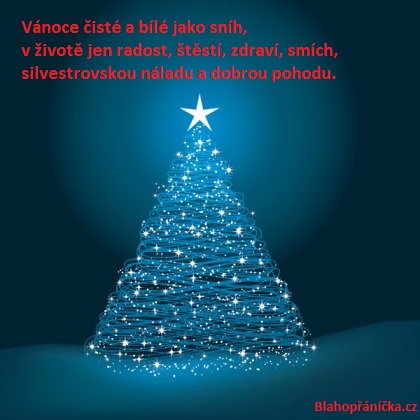 Vánoce čisté a bílé